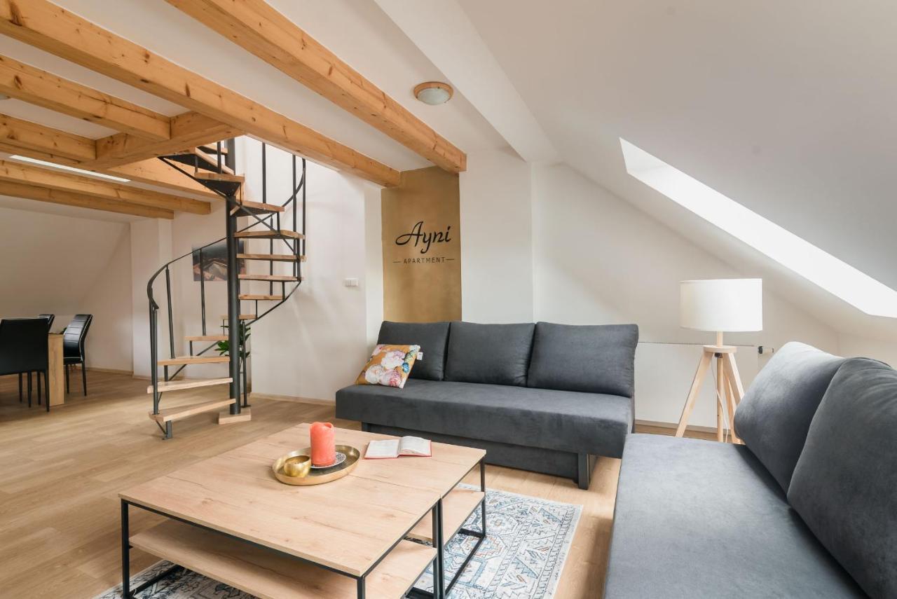 Ayni Apartman Семили Экстерьер фото