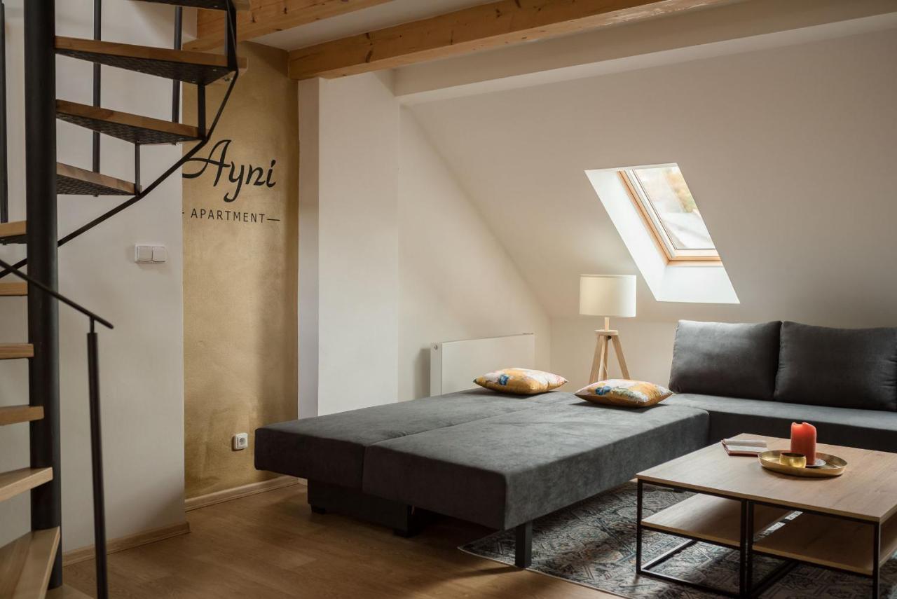 Ayni Apartman Семили Экстерьер фото